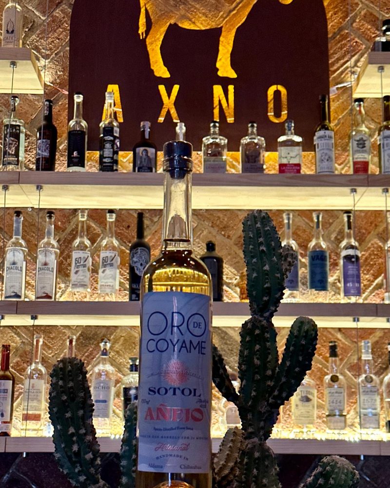 Oro de Coyame Cedrosanum Añejo