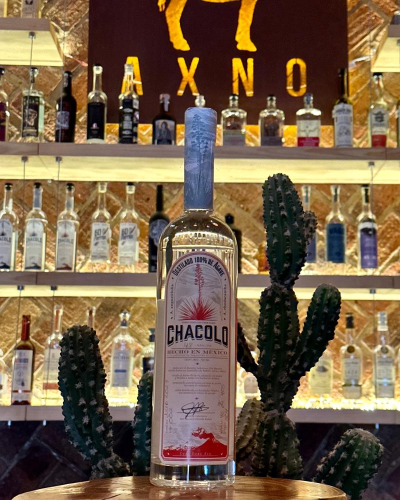 Chacolo Ensamble Ixtero Amarillo con Brocha