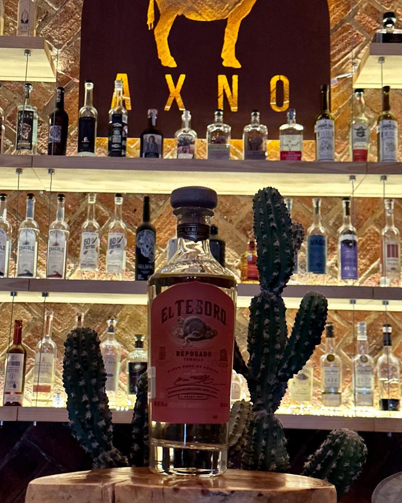 Tesoro de Don Felipe Reposado
