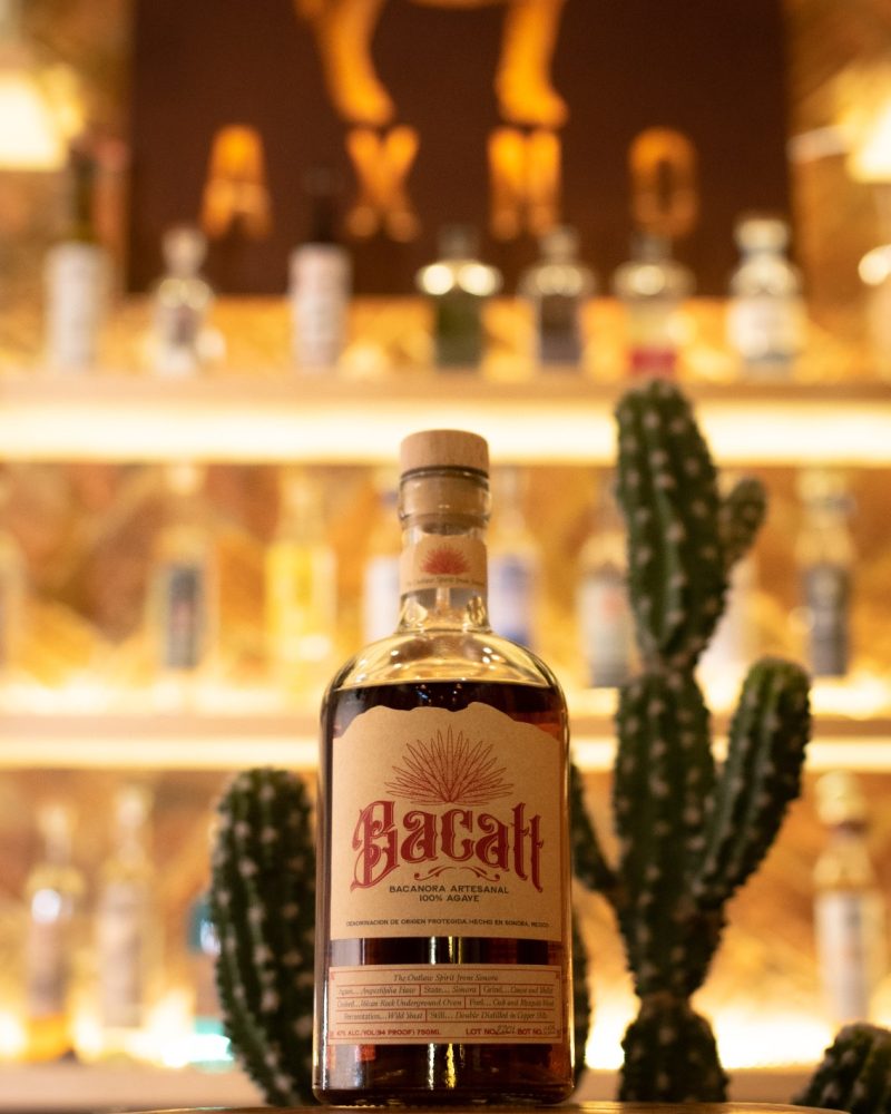 Bacatt Angustifolia Pacifica con Uvalama