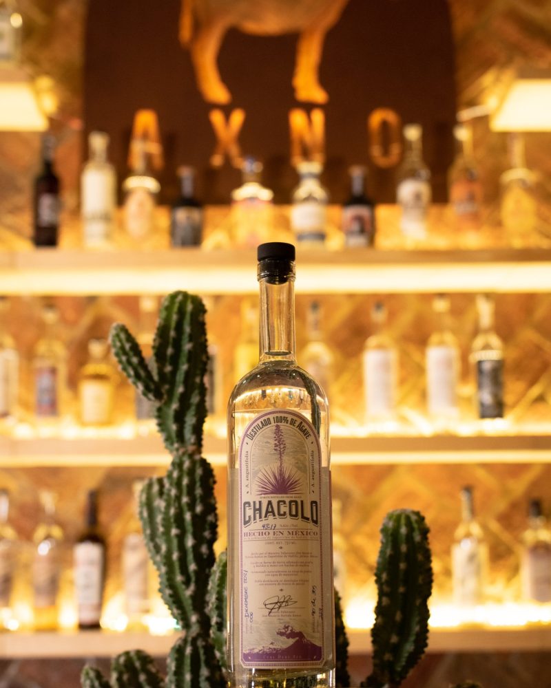 Chacolo Lineño