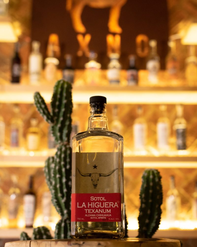 Higuera Texanum
