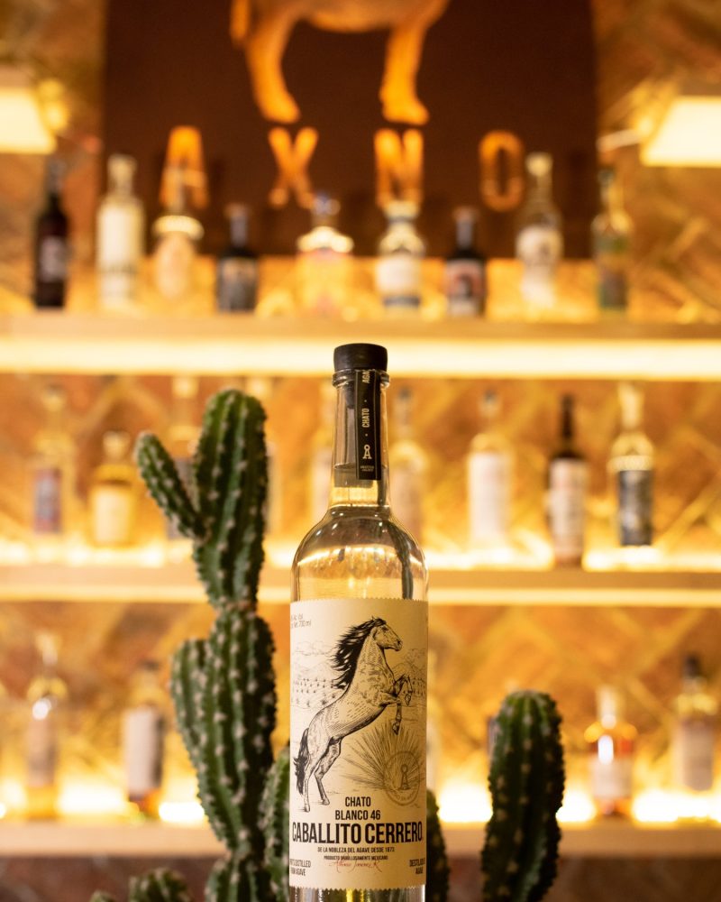 Caballito Cerrero Chato 46