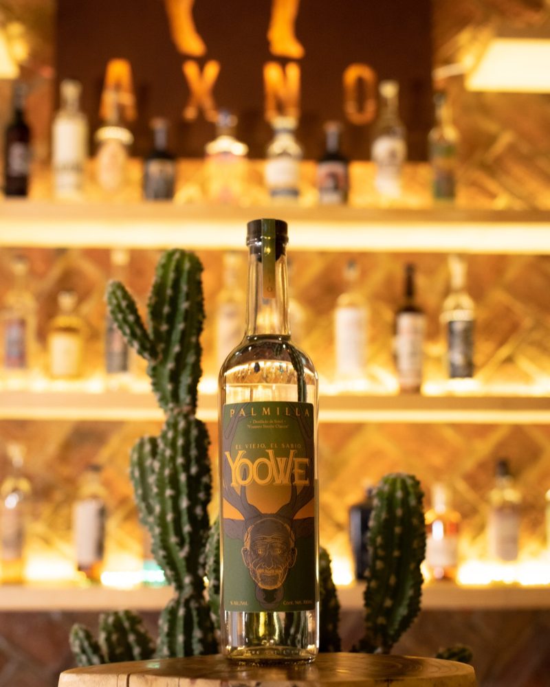 Yoowe Palmilla