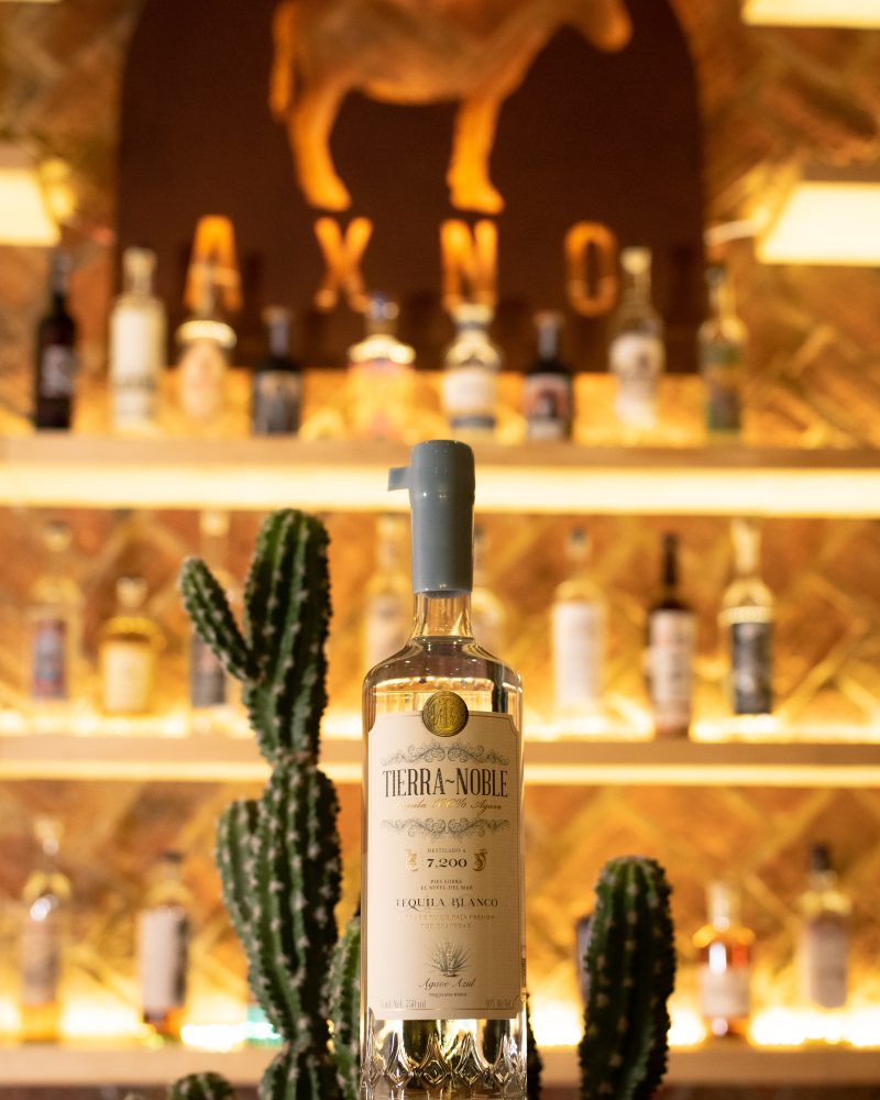 Tierra Noble Blanco