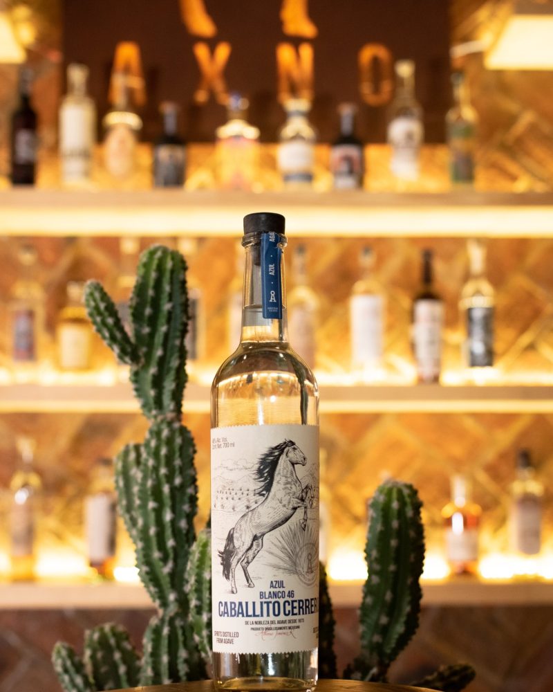 Caballito Cerrero Azul 46