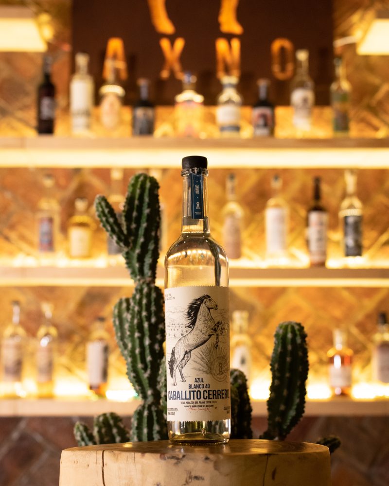 Caballito Cerrero Azul